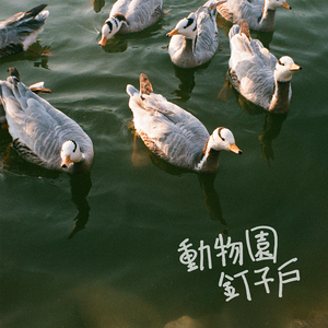 亚洲欧美激情第一欧美精品
